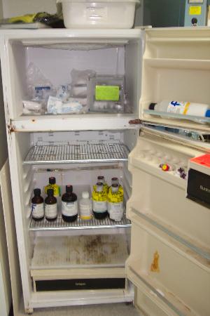 Labline Commercial Refrigerator/Freezer
