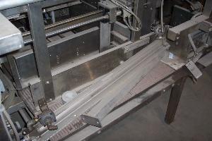 Schneider Stainless Steel Horizontal Case Packer with Case Elevator