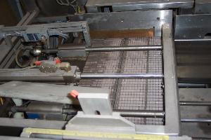 Schneider Stainless Steel Horizontal Case Packer with Case Elevator