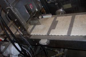 FMA Stainless Steel Cheese Cutting Conveyor