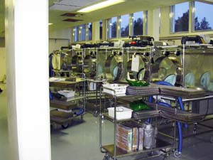 Complete Total Parenteral Nutrition  (TPN) Line