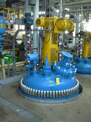 500 Gallon Balfour Glass Lined Reactor  1963