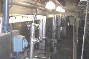 Hassia Form, Fill & Seal Packaging Line