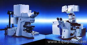 Zeiss Multiphoton Laser Scanning Microscope