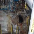 Drais 6,000 Ltr. Plow Mixer, Stainless Steel, Jacketed Shell