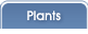 Plants Plants