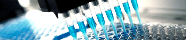Lab & Analytical